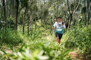 BIB: 
                            <button type="button" onclick="openModal(26294020)" class="btn btn-primary btn-sm float-right btn-popup" data-toggle="modal" data-target=".modal-high-quality">
                        <i class="fas fa-shopping-cart"></i> Add to Cart
                    </button>
                                            <button type="button" onclick="isThisMe(26294020, true)" class="btn btn-success btn-sm float-right btn-popup btn-isme hidden" data-toggle="tooltip" data-placement="bottom" title="นี่คือรูปของคุณใช่ไหม คลิกที่นี่เพื่อเอาเข้าอัลบั้ม">
                        <i class="fas fa-plus"></i> Add to album
                    </button>
                    <button type="button" onclick="isThisMe(26294020, false)" class="btn btn-warning btn-sm float-right btn-popup btn-isnotme hidden">
                        <i class="fas fa-ban"></i> Remove from album
                    </button>